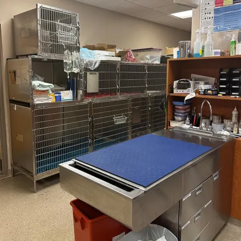 Kennels and Treatment Table at Winding Creek Animal Hospital
